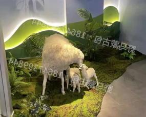 北京手工羊